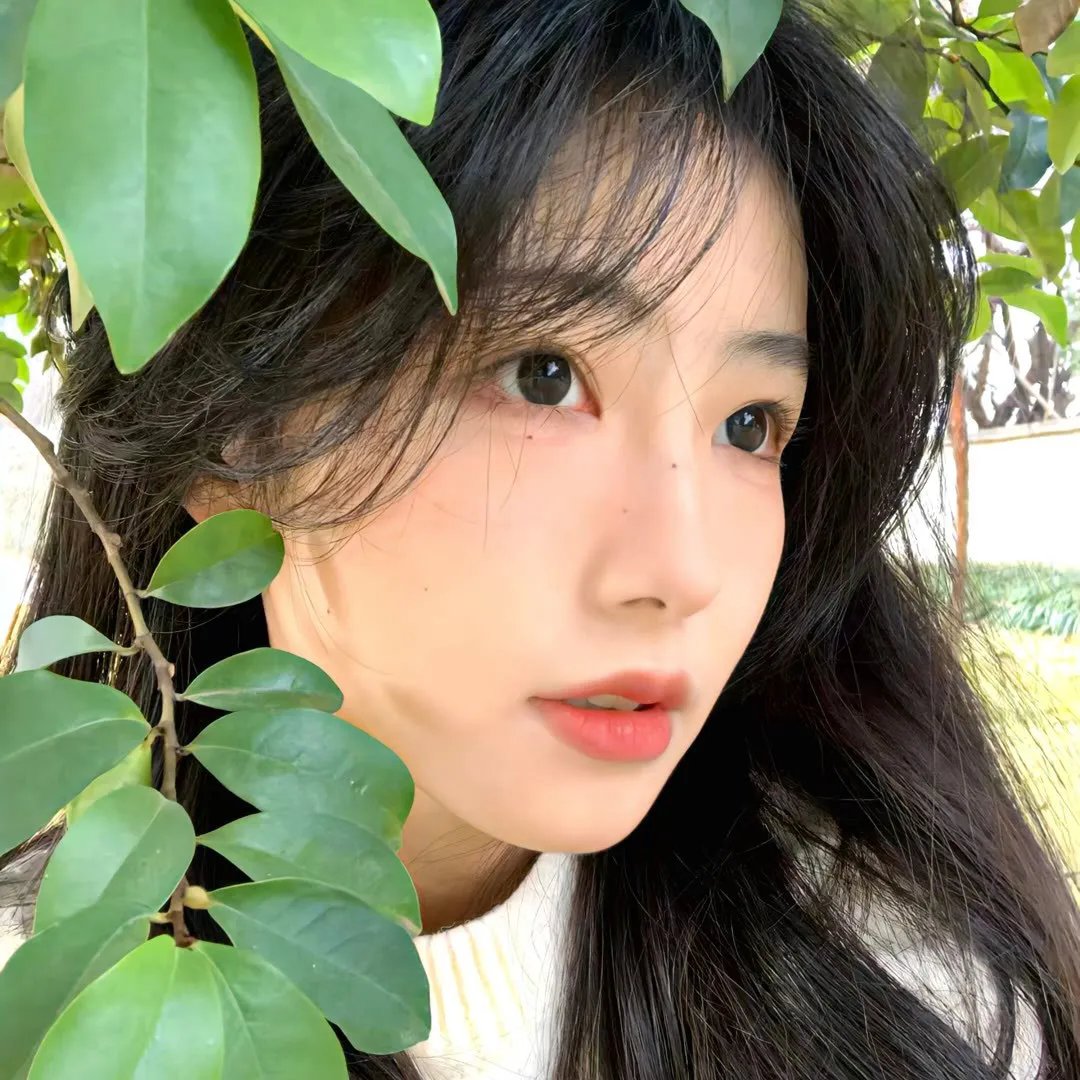 美丽星球