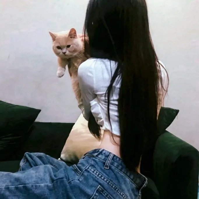 渚北谜案